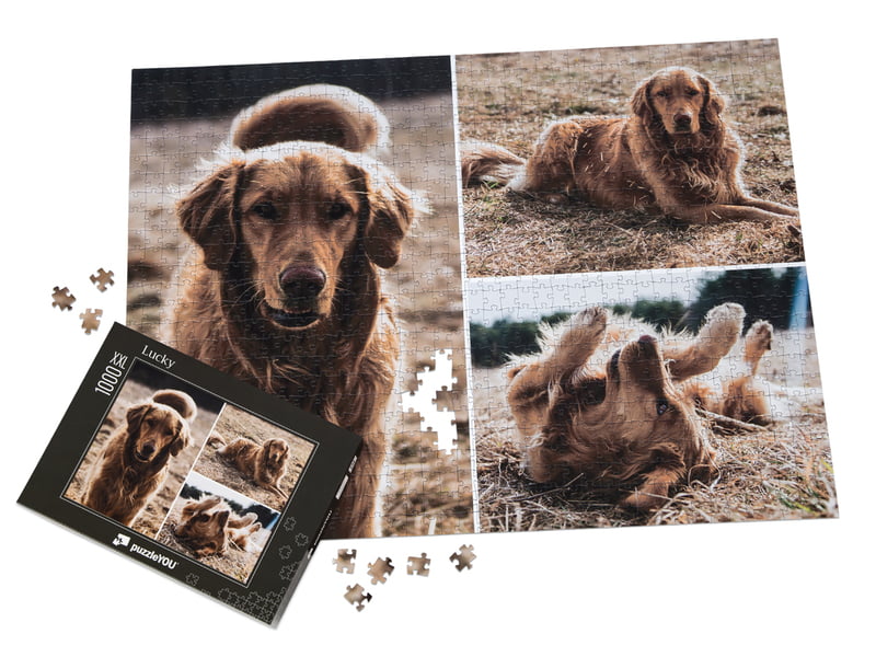 puzzleYOU ®, Puzzle Personnalisé et Puzzle Photo